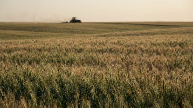 Agricoltura, in Molise oltre 35 milioni tra aiuti diretti e sviluppo rurale