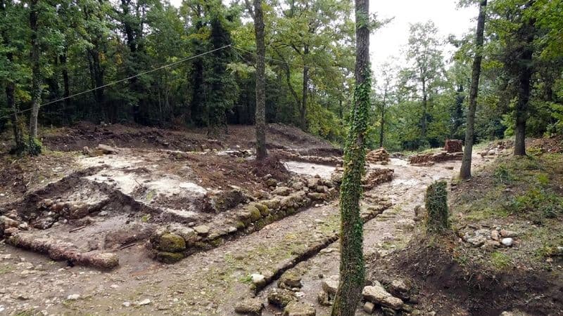 Bosco Faiete, il Comune di Campobasso chiede la tutela dell'oasi