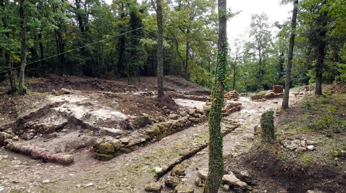 Bosco Faiete, il Comune di Campobasso chiede la tutela dell'oasi