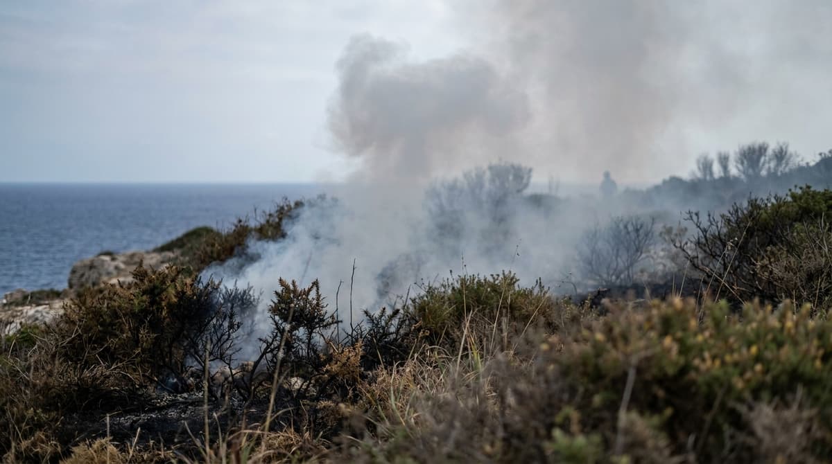 Incendi nel Basso Molise, evacuati campeggi: chiuse statale e ferrovia