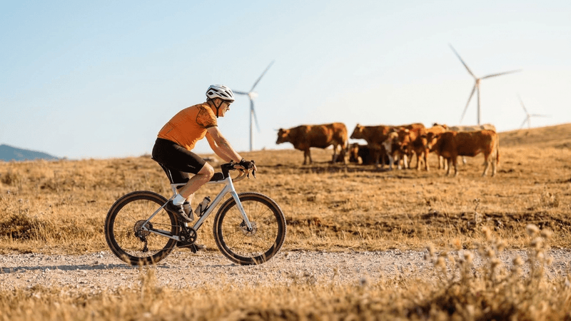 Decine di ciclisti sui tratturi Unesco: l'Alto Molise apre la stagione del gravel